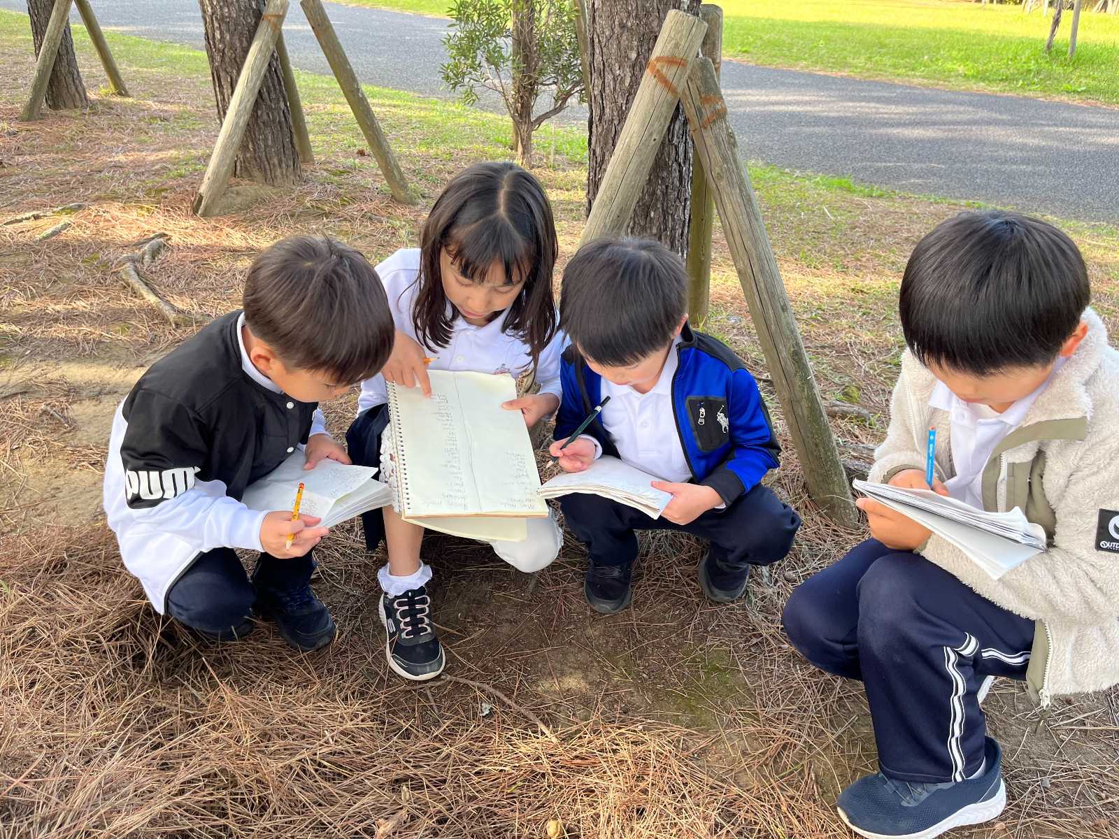 中央インターナショナルスクール | 新浦安キャンパスの画像