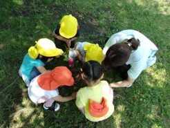 コンビプラザ橋本保育園の画像