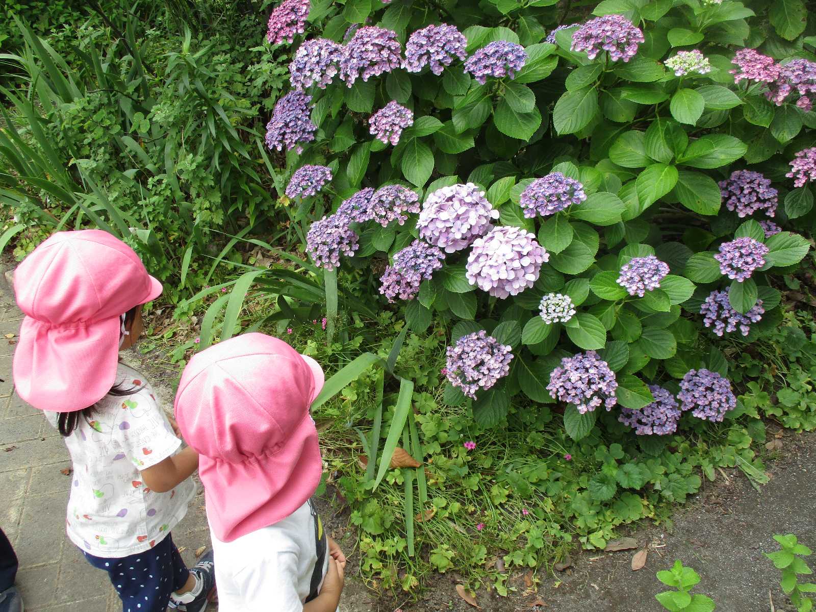 コンビプラザレイディアント保育園の画像