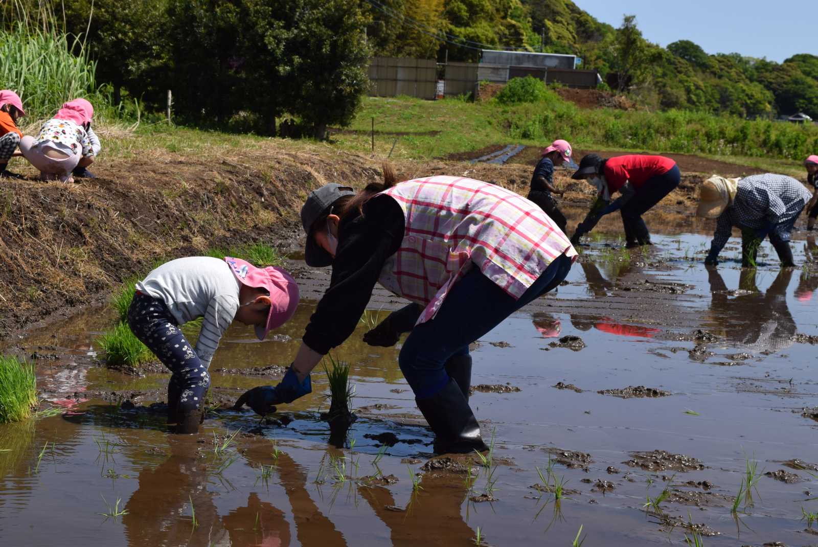 森と自然の保育園のびのびハウスの画像