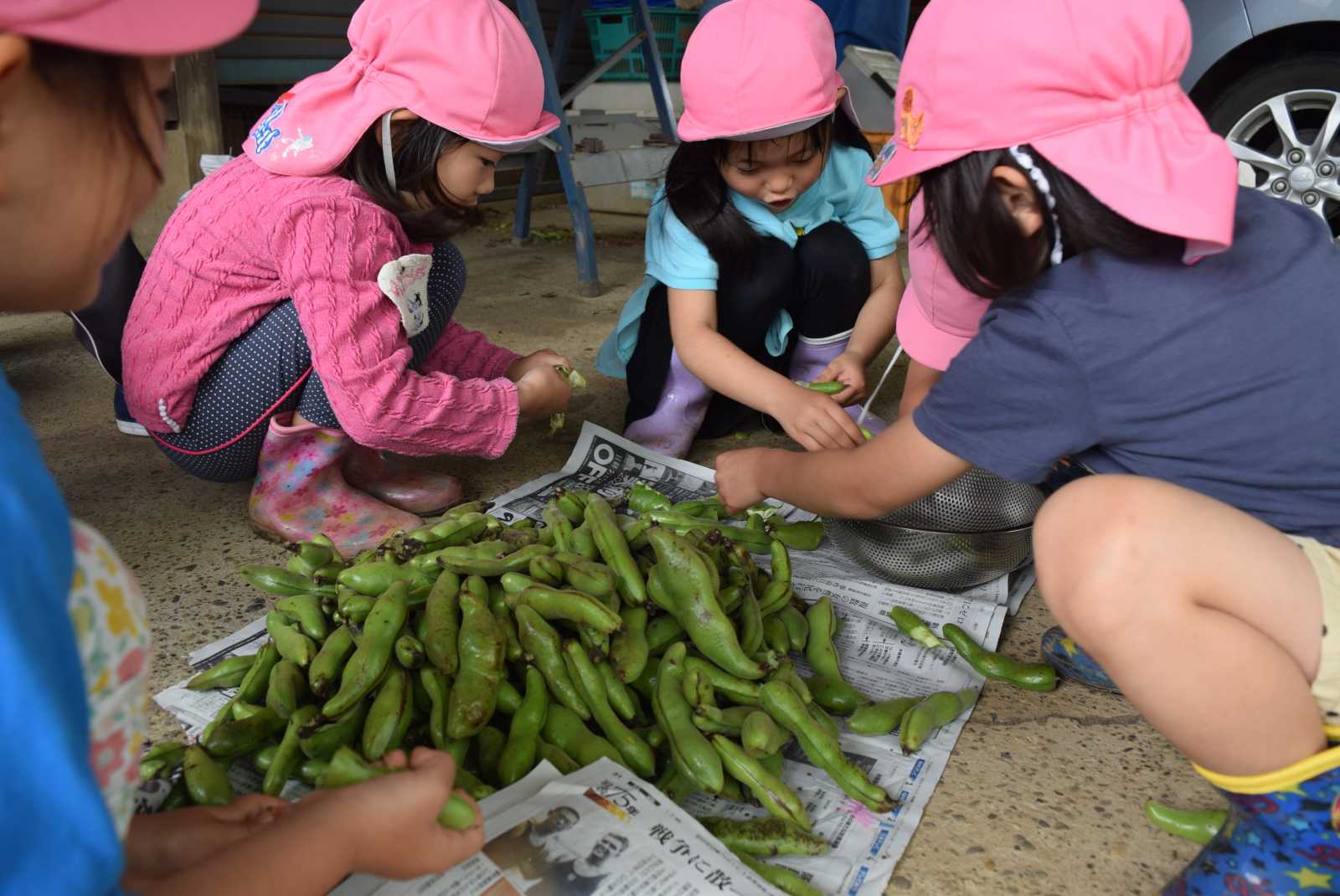 森と自然の保育園のびのびハウスの画像