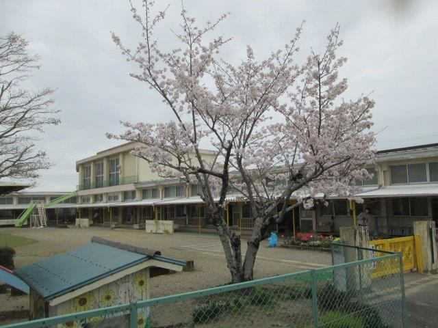 磐田市立長野幼稚園の画像