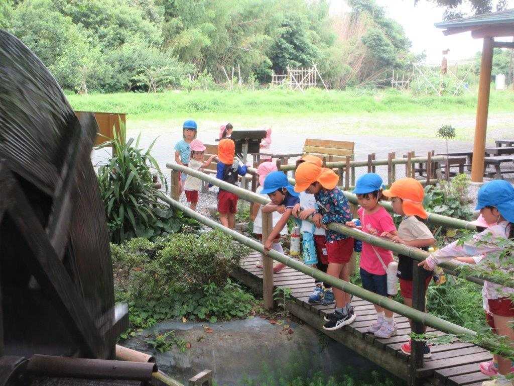 磐田市立田原幼稚園の画像