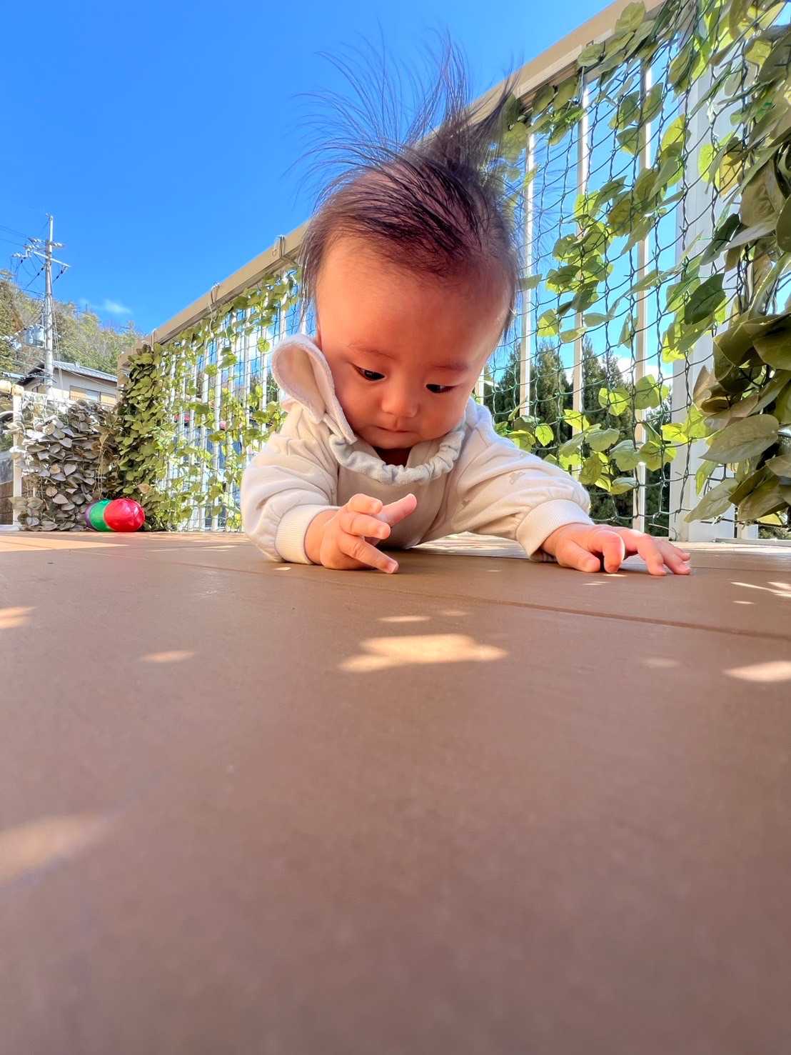 ぽっかぽか保育園の画像