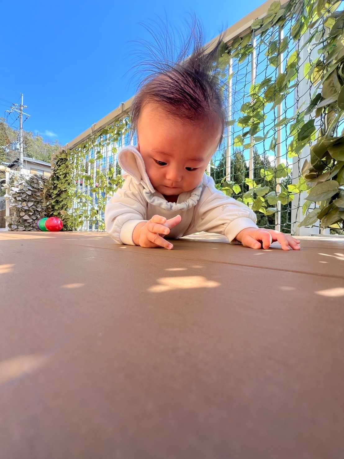 ぽっかぽか保育園の画像