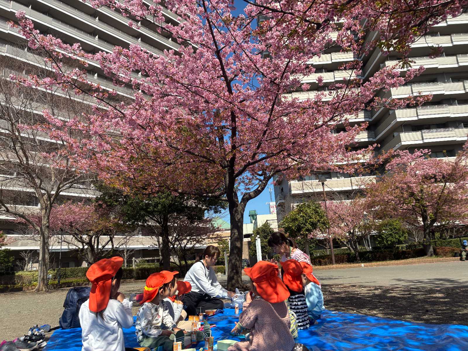 コンビプラザ橋本保育園の画像