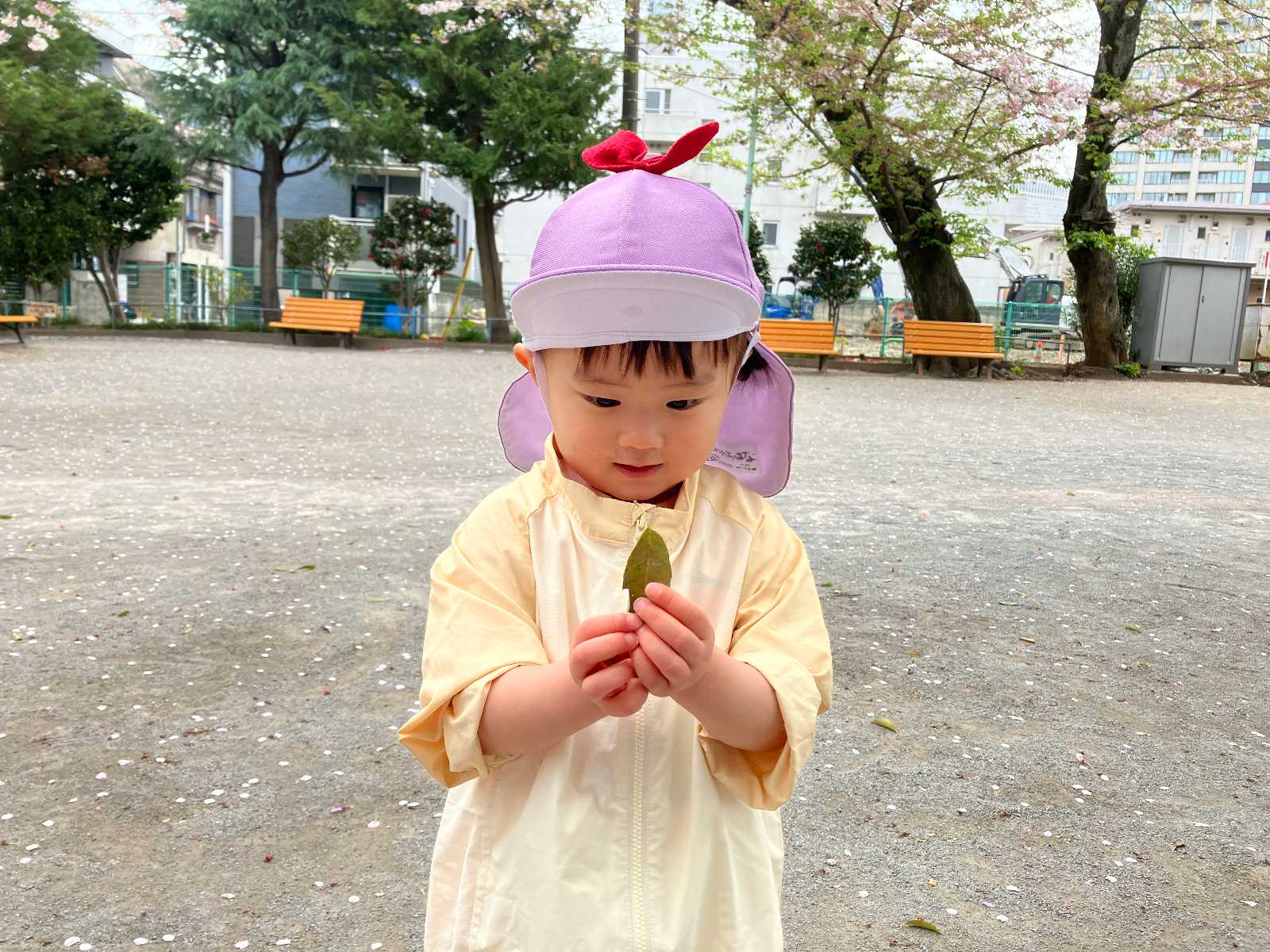 キラママ保育園の画像