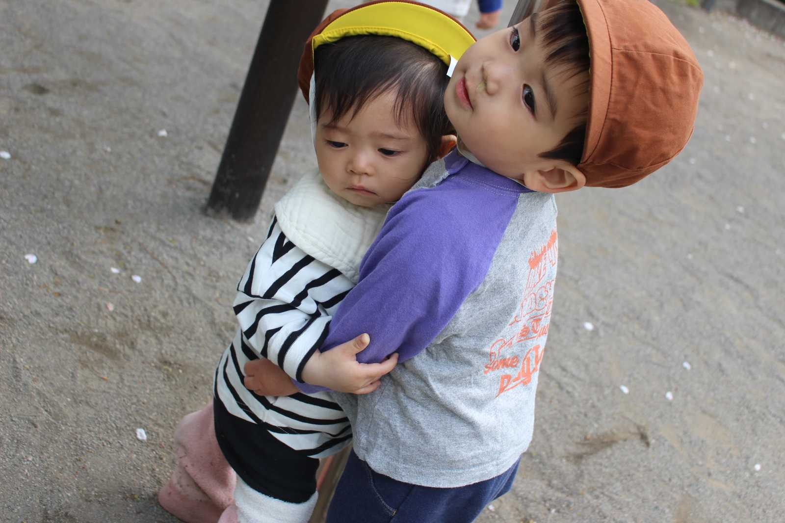 ここわ保育園の画像