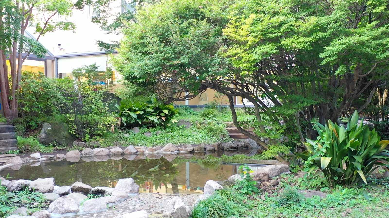 キンダーキッズインターナショナルスクール東京本校の画像