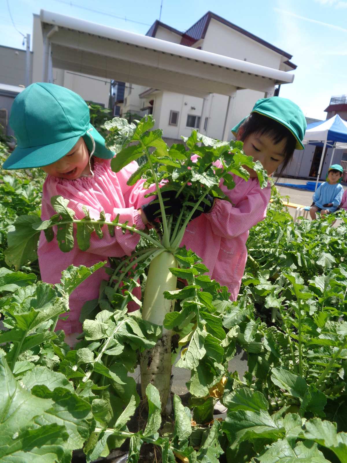 認定こども園青森ひかりの画像