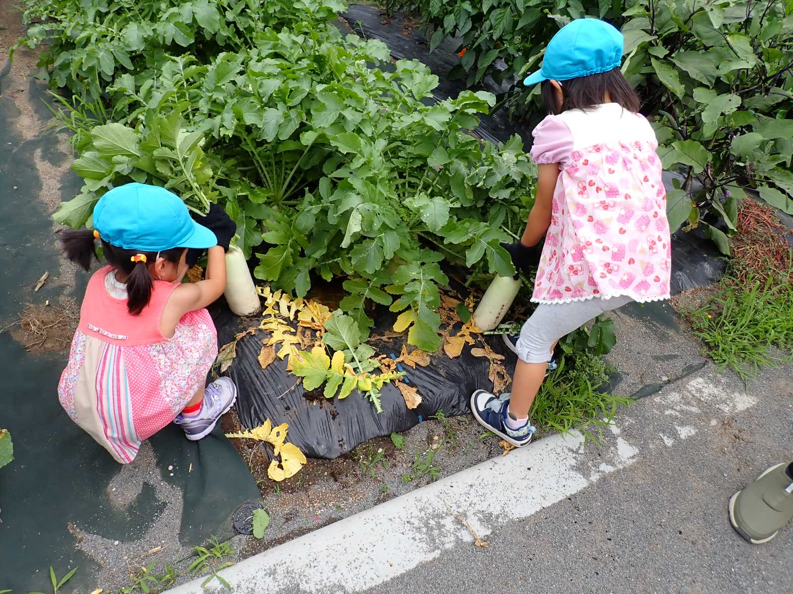 認定こども園青森ひかりの画像