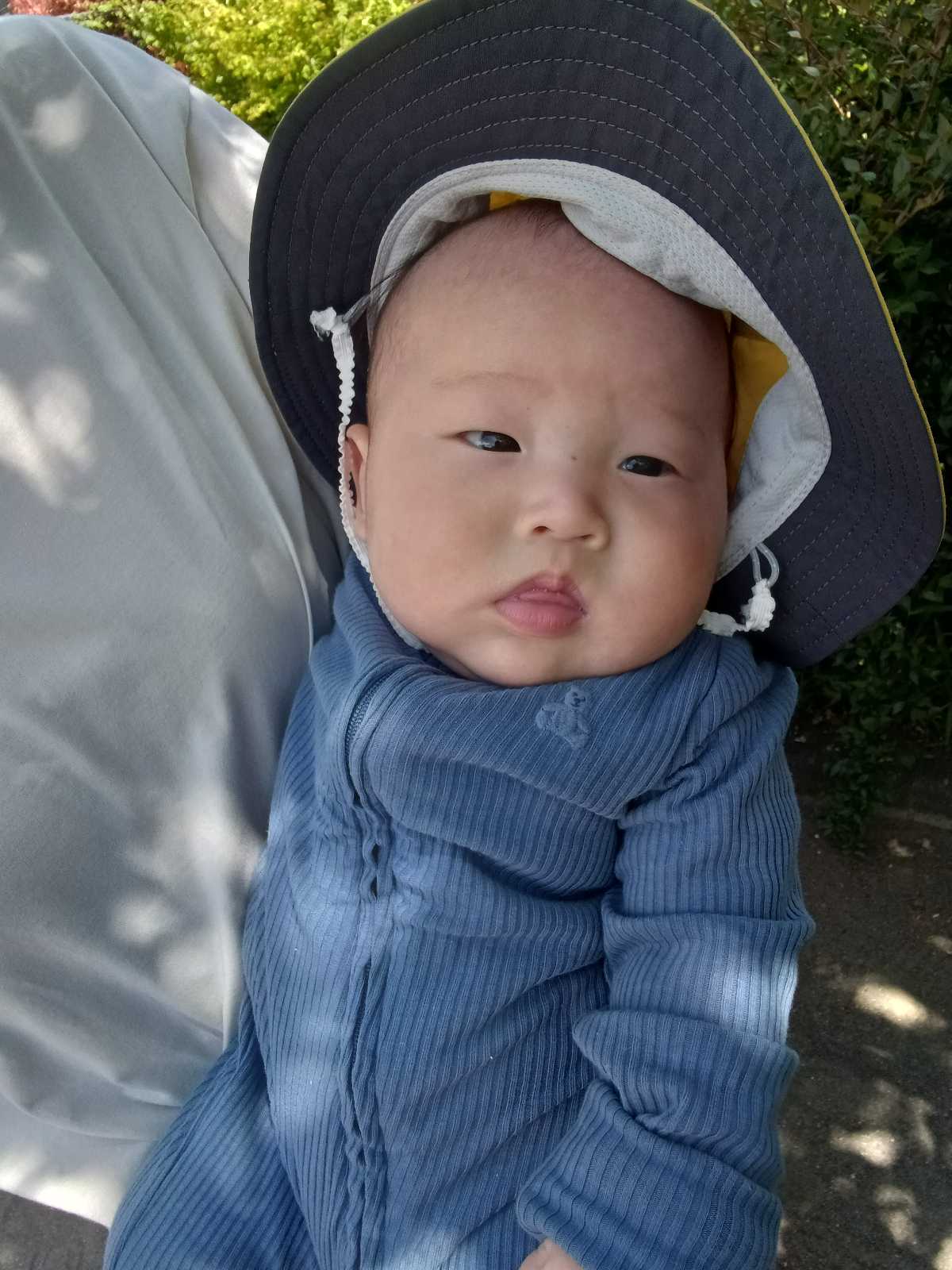 ここわ保育園の画像
