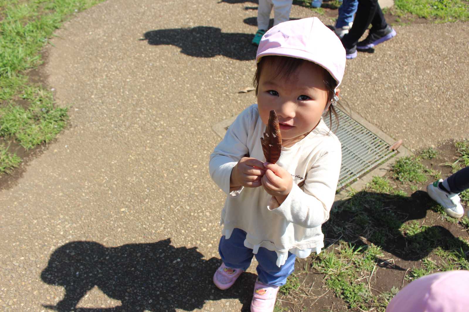 ここわ保育園の画像