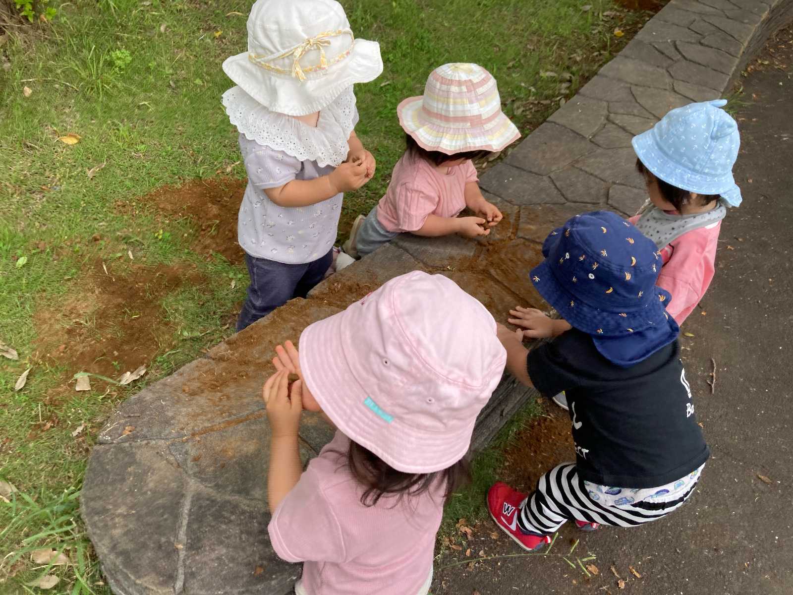 ルアナきぬの里保育園の画像