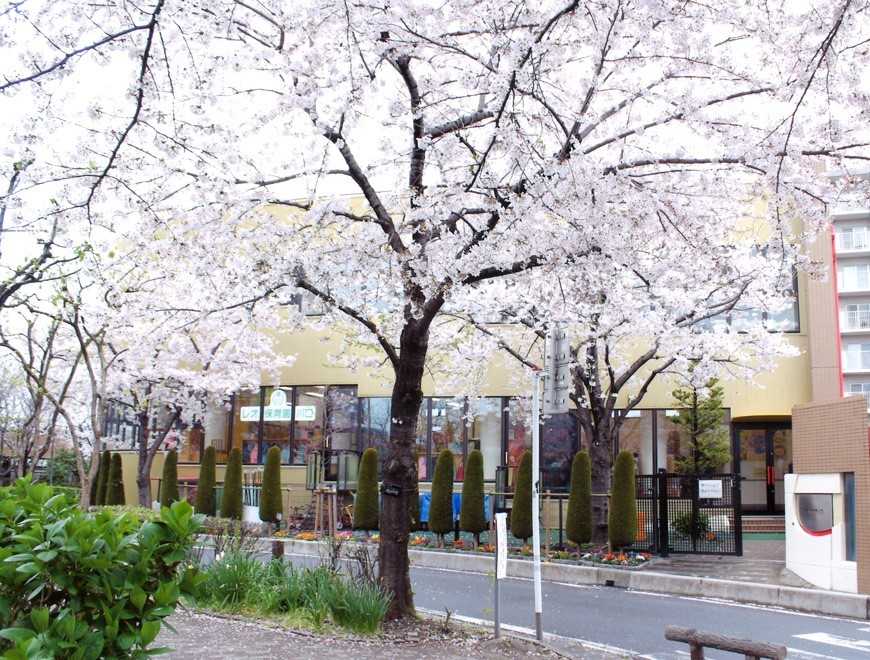 レオ保育園川口