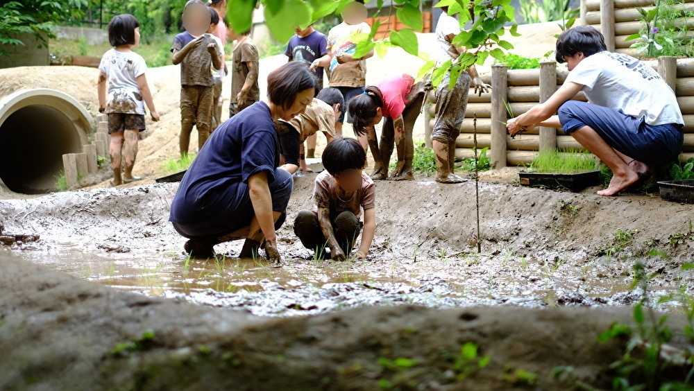 中野みなみ保育園の画像