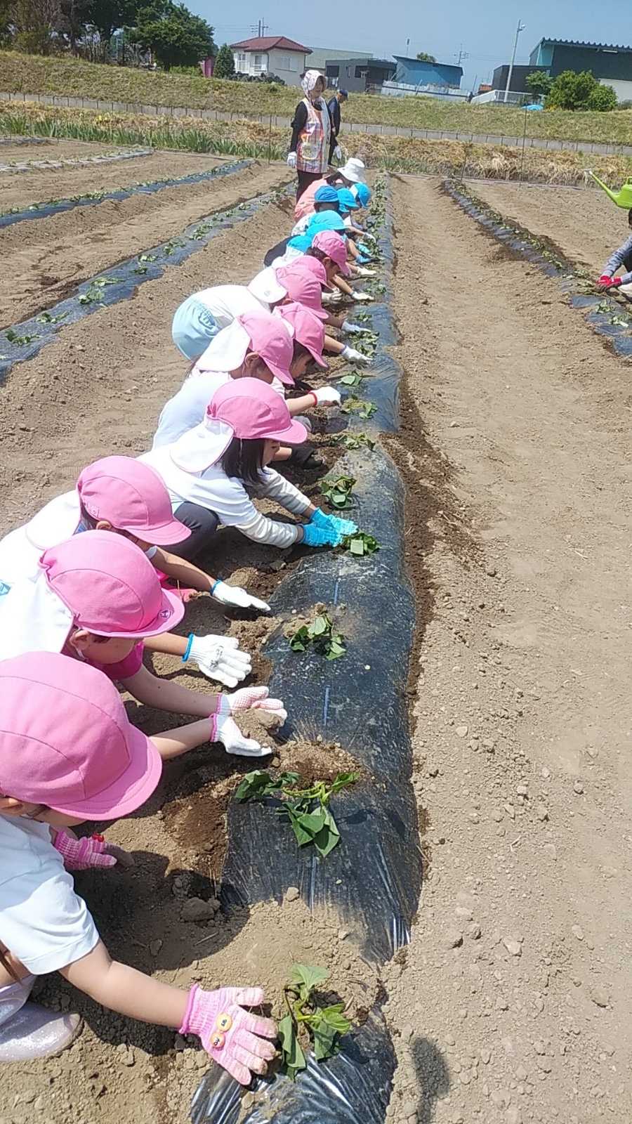 群馬医療福祉大学附属認定こども園 鈴蘭幼稚園の画像
