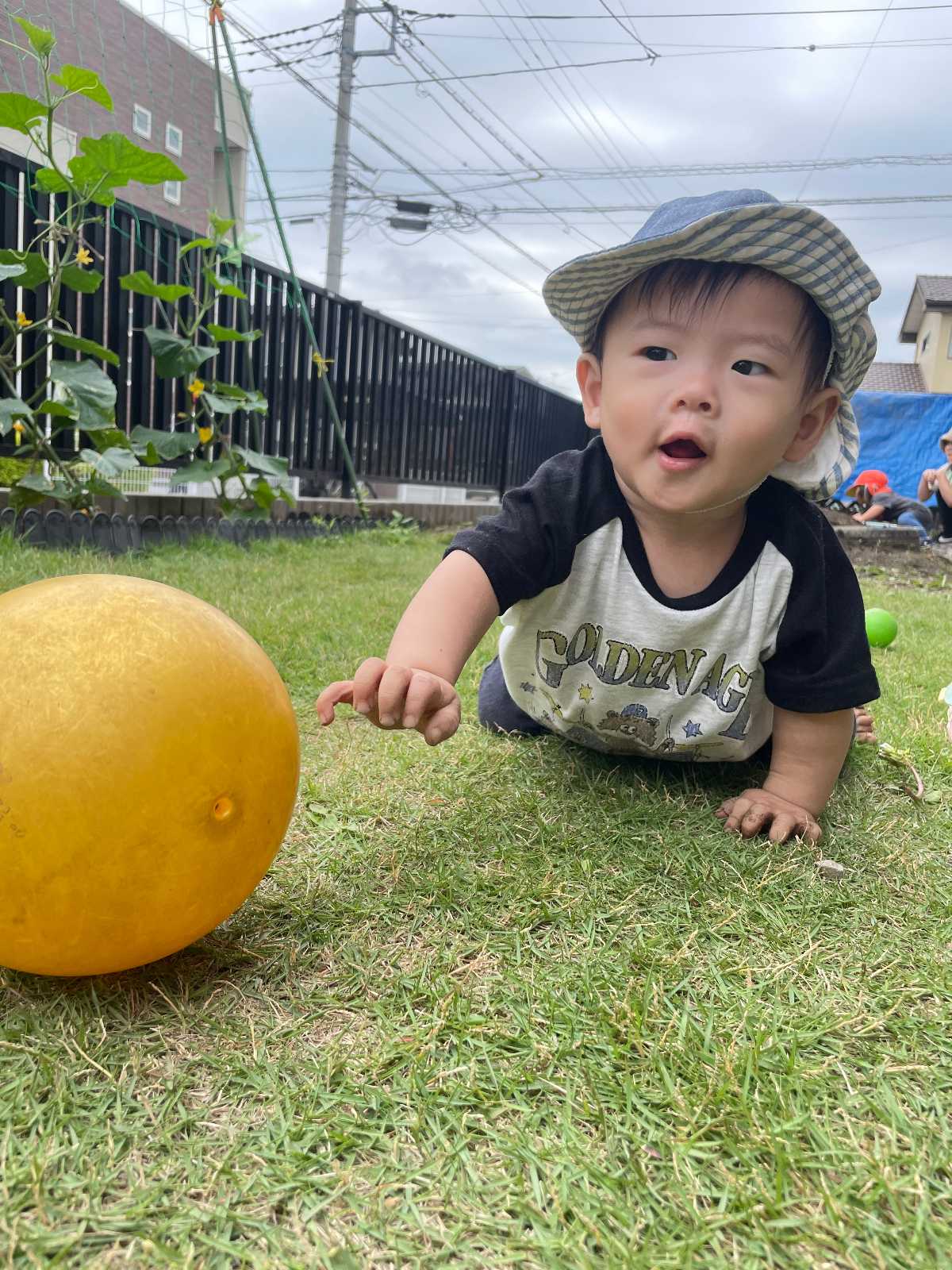 ココカラ雀宮保育園の画像