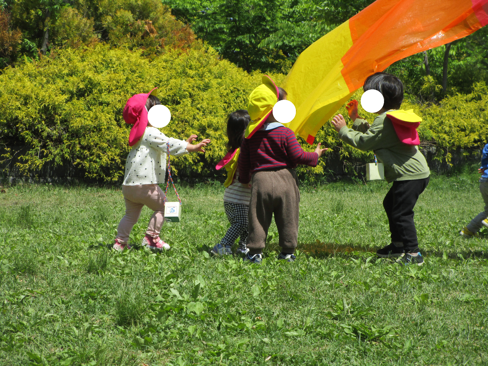 ピーターパン盛岡津志田園の画像