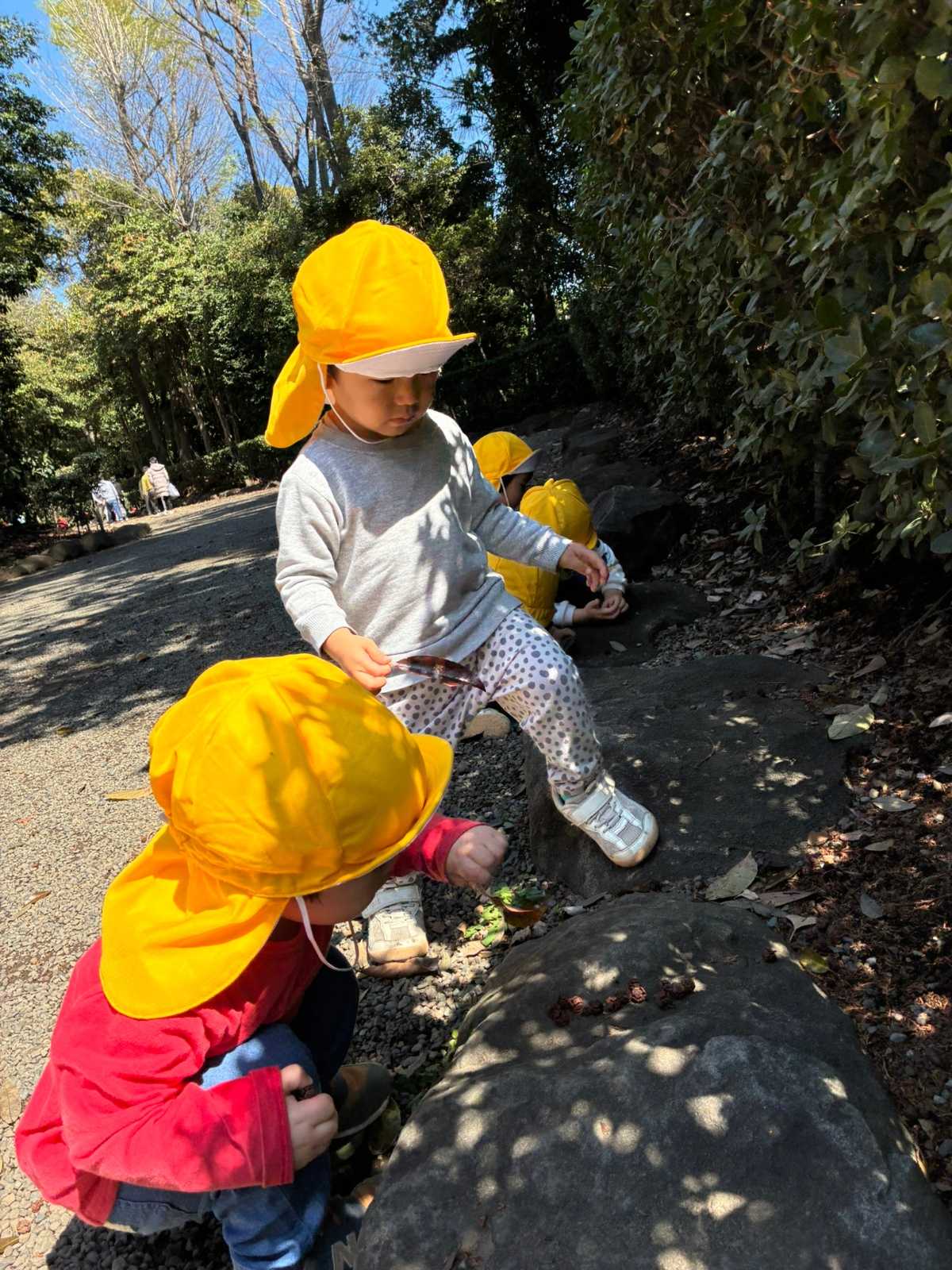 コンビプラザ善福寺保育園の画像