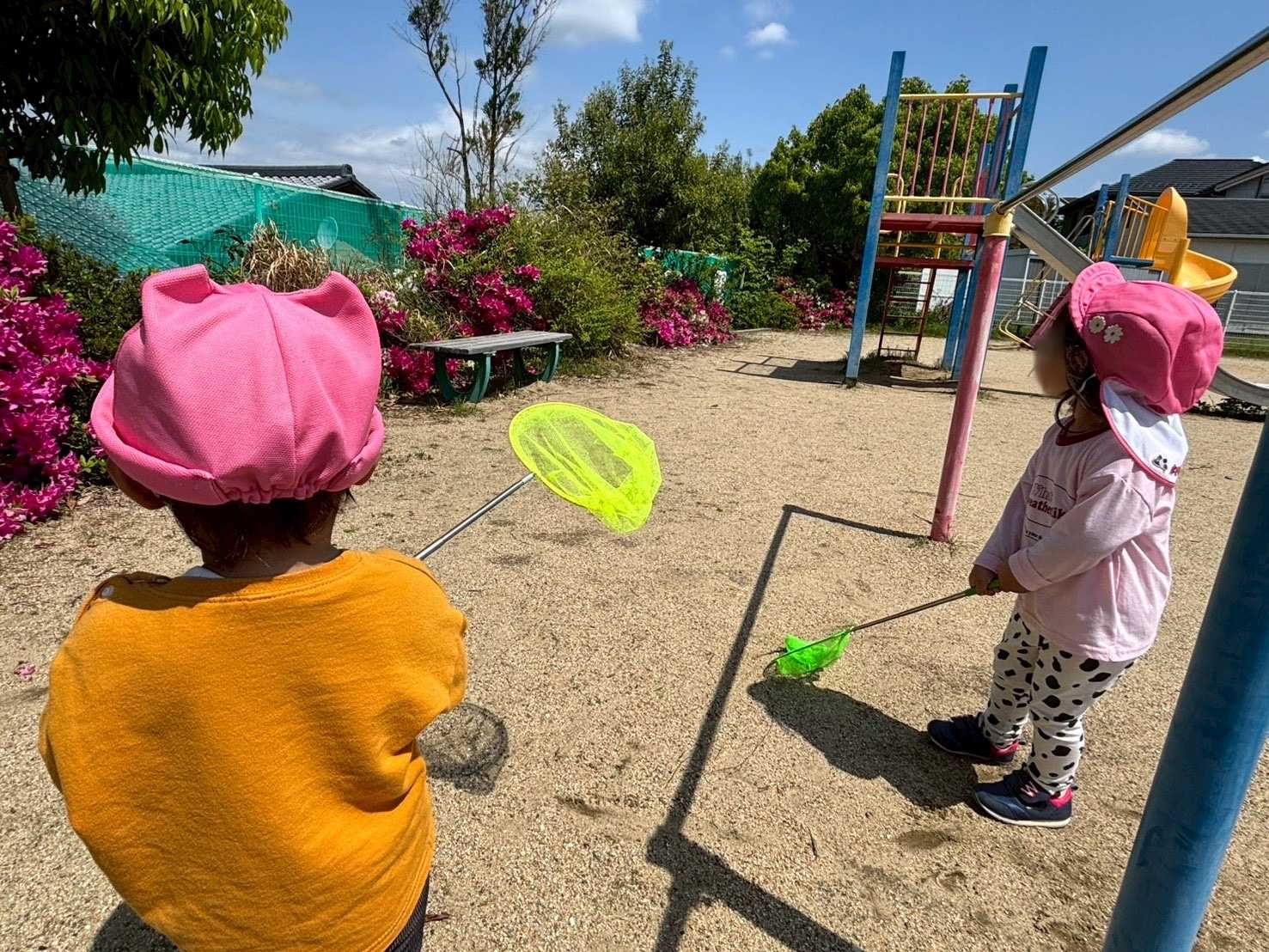 みんと保育園の画像
