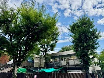 恵比寿のびのびこども園の画像