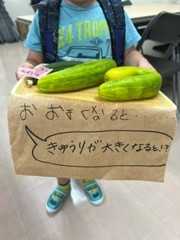 本町きらきらこども園の画像