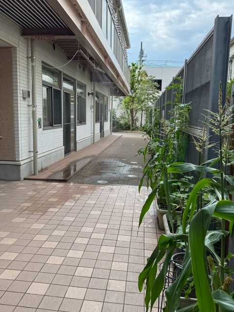 西原保育園ゆめの画像
