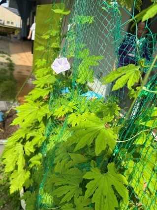本町そよかぜこども園の画像