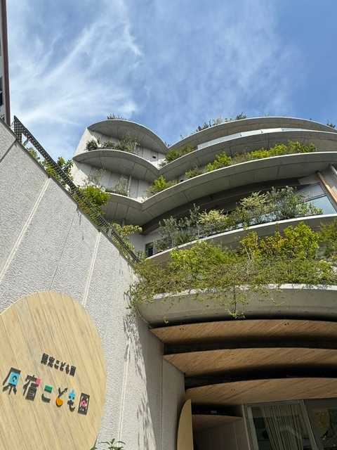 原宿こども園
