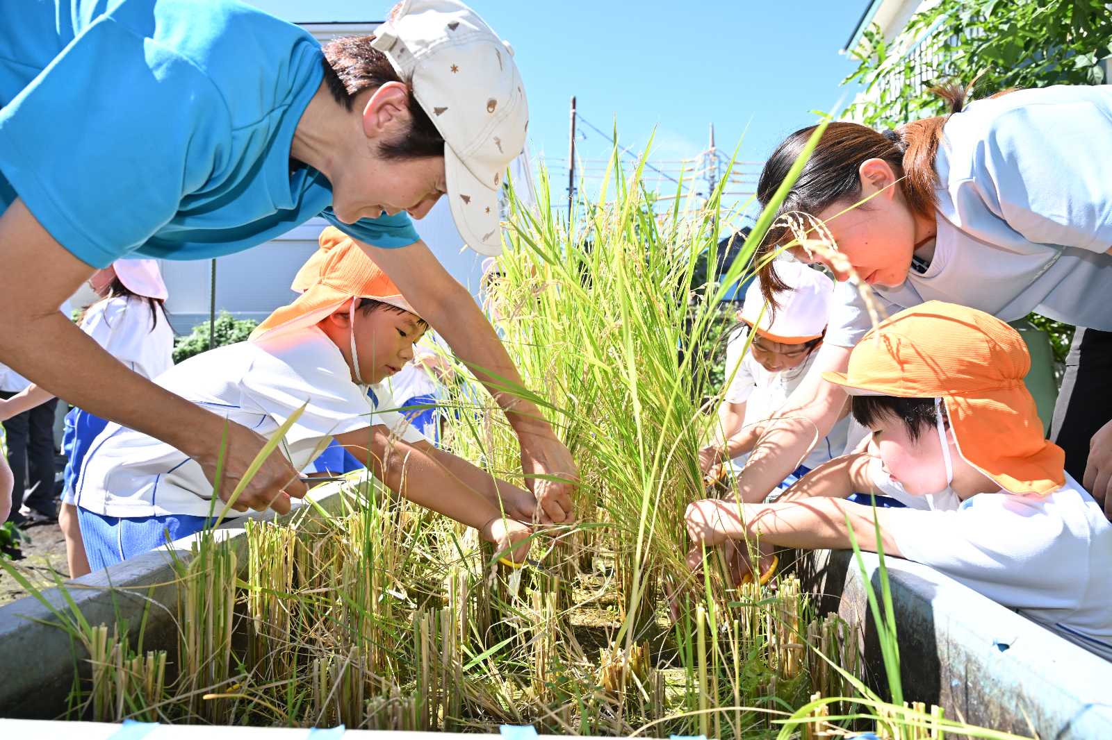 調布幼稚園 (世田谷区/大田区/目黒区/品川区/川崎市から通園)の画像