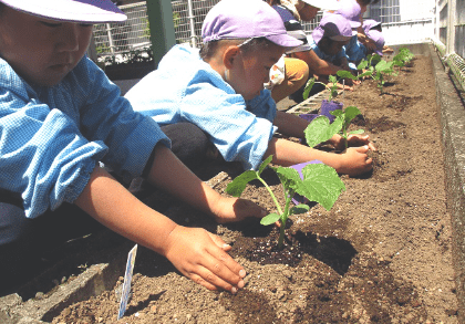 くすのきこども園
