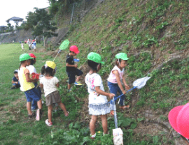 くすのきこども園の画像