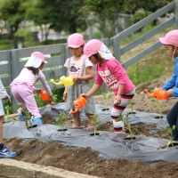 もりの風こども園の画像