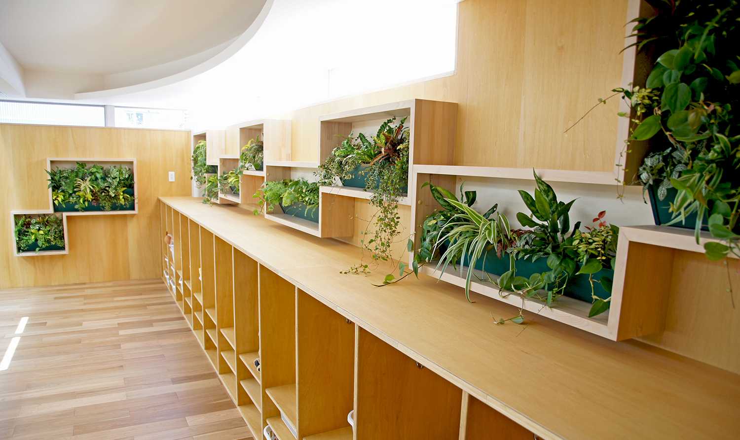 ゆめの樹保育園はつだいの画像