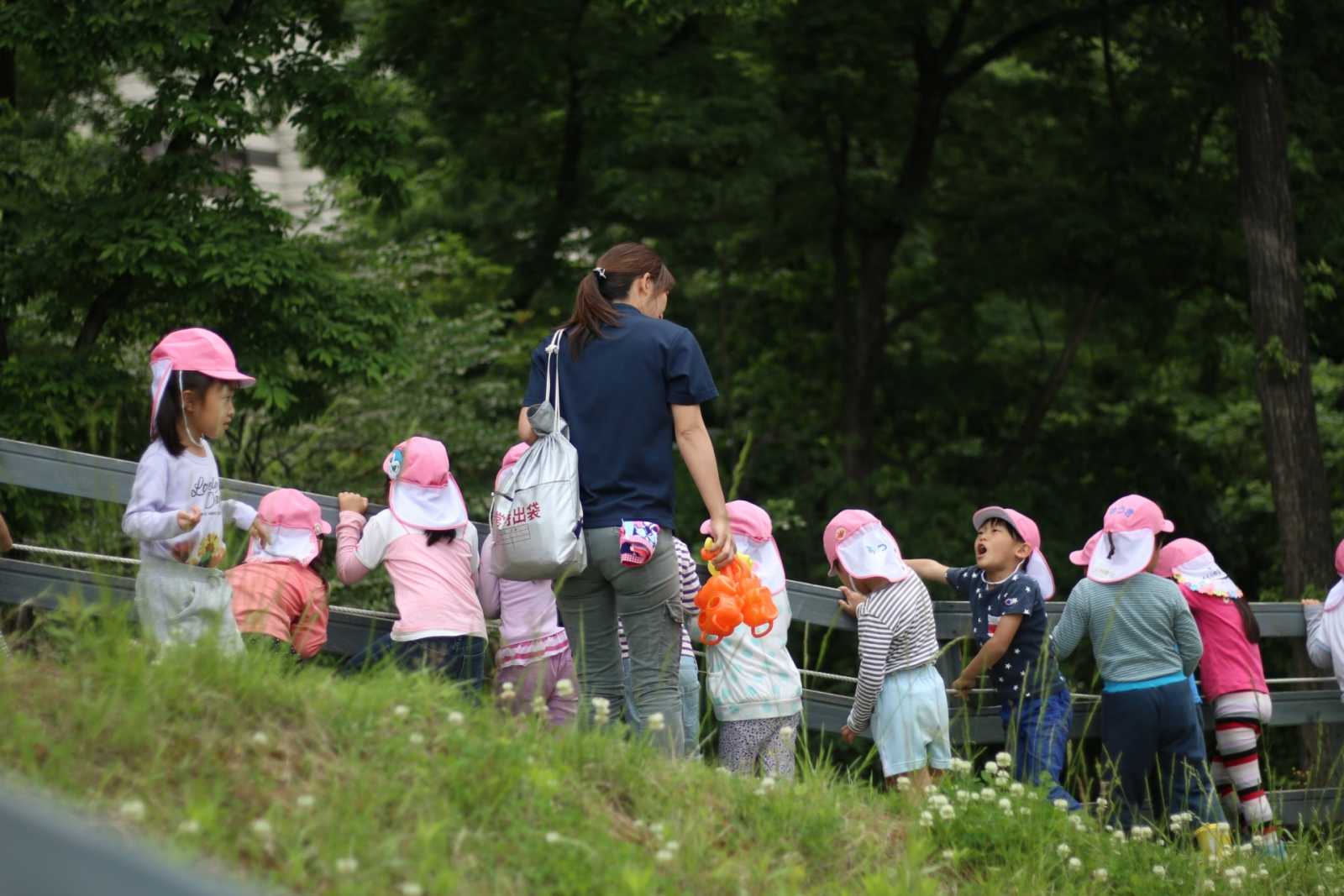 もりの風こども園の画像