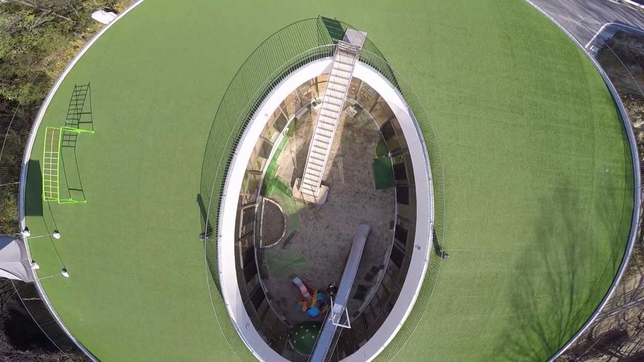 もりの風こども園の画像