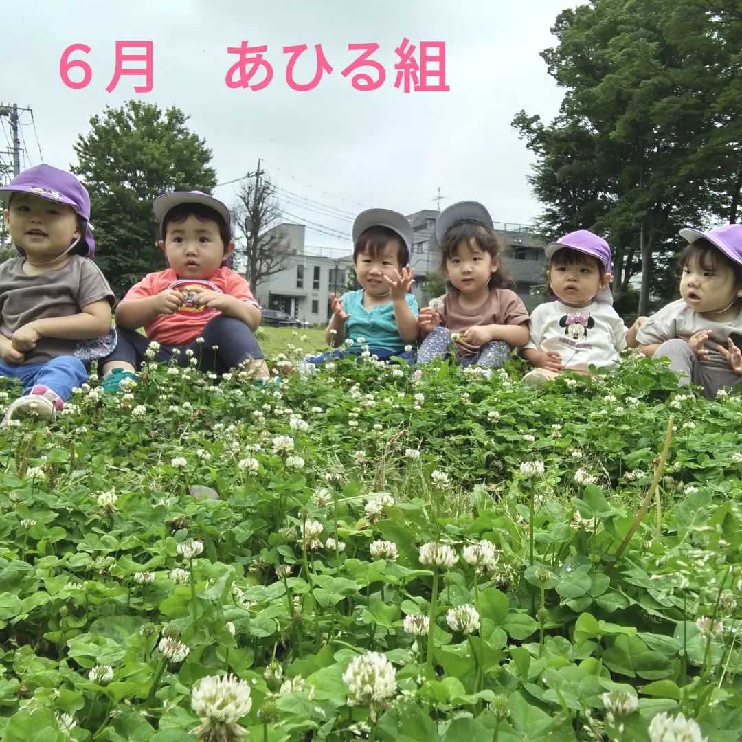 城南ルミナ保育園 立川の画像