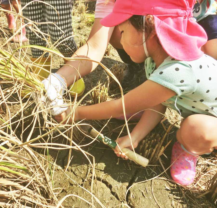 レイモンド長浜こども園の画像