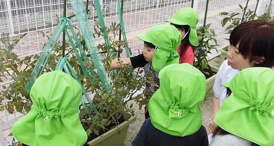 仙台荒井雲母保育園の画像