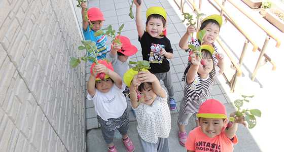 足立梅島雲母保育園の画像