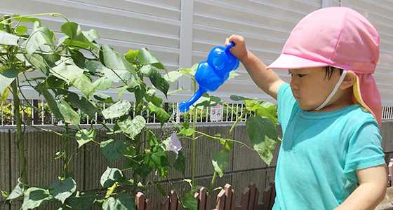 武蔵小金井雲母保育園の画像
