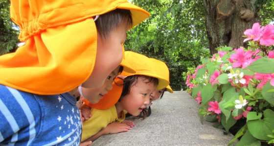 西東京新町雲母保育園の画像