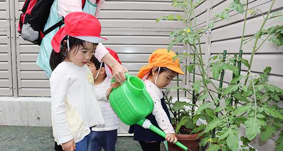 文京白山雲母保育園の画像