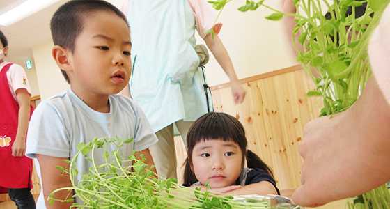 相模原東林間雲母保育園の画像