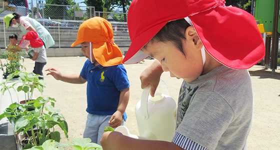 名古屋名東貴船雲母保育園の画像