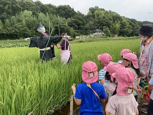 森と自然の保育園のびのびハウスの画像