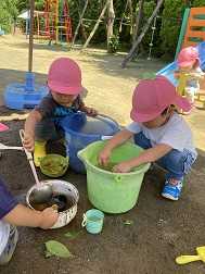 森と自然の保育園のびのびハウスの画像