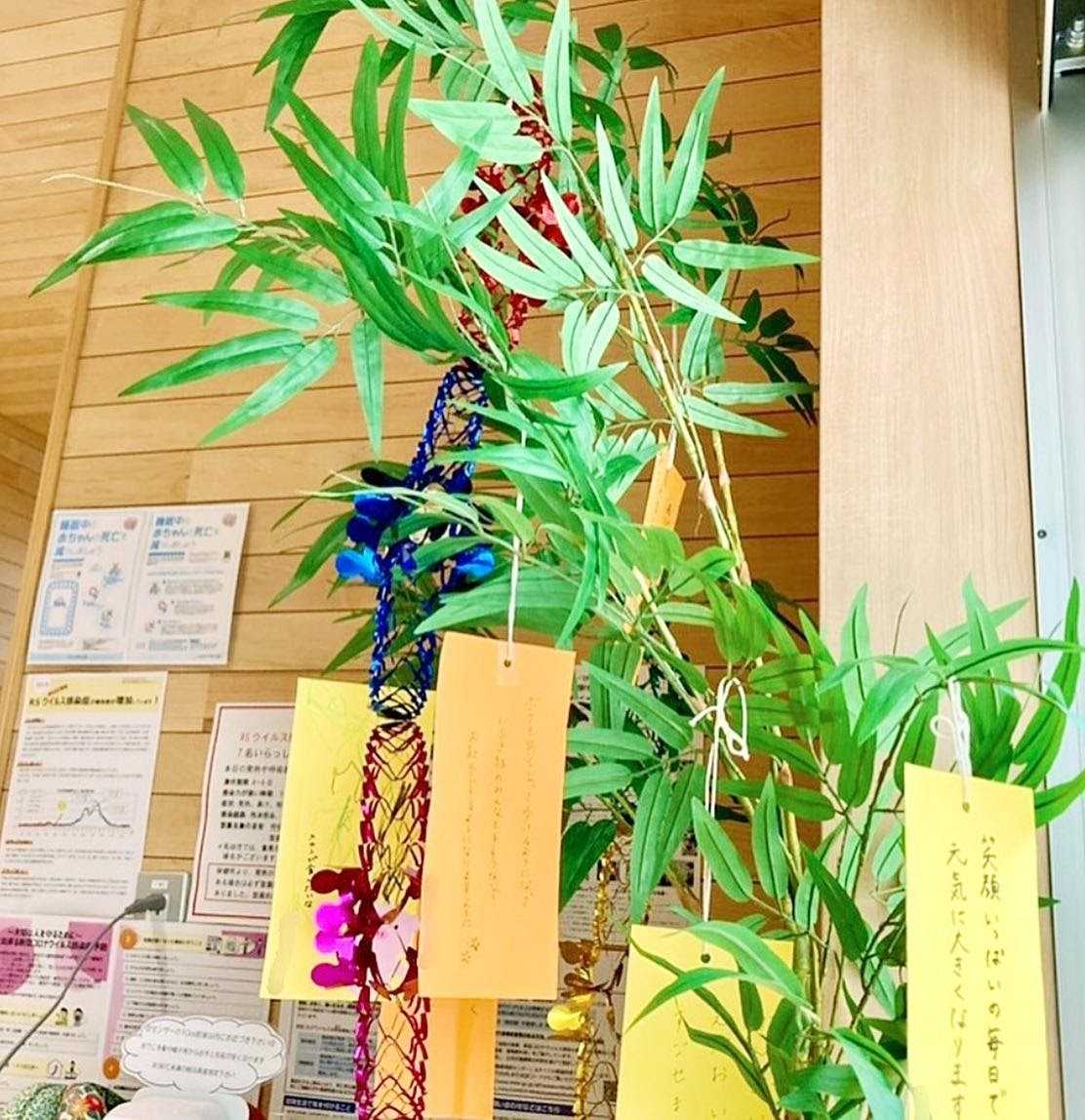 麻布十番ちとせ保育園の画像