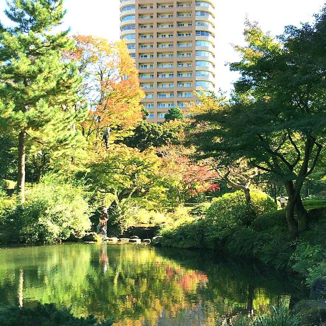 目白ちとせ保育園の画像